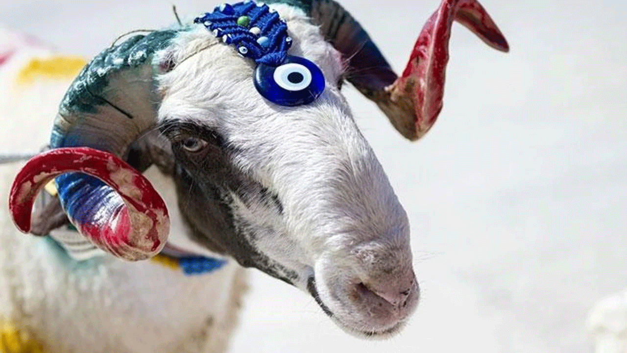 Kurbanda hisse fiyatları belli oldu! İşte rakamlar