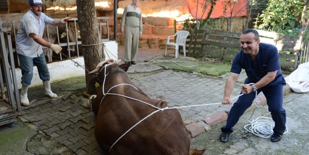 Kurbanı dize getiren teknik: Rueff