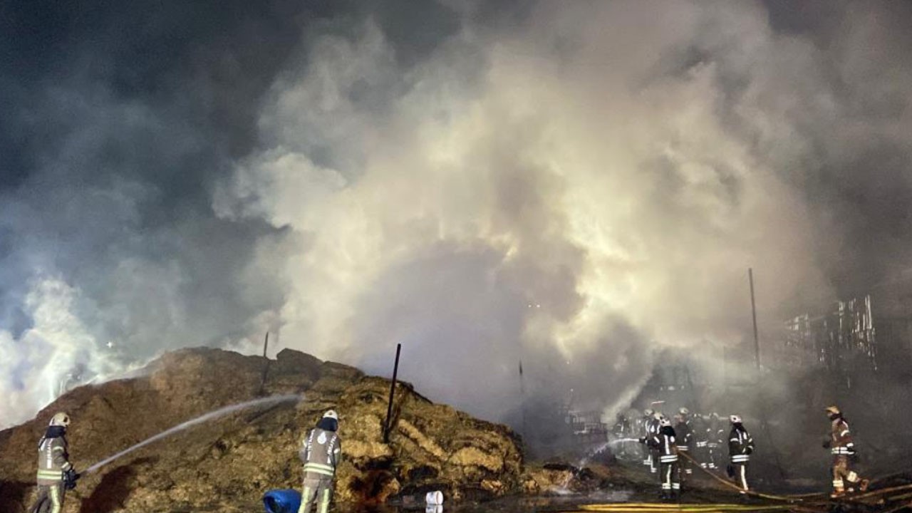 Kurbanlık hayvanlar alevler içinde kaldı