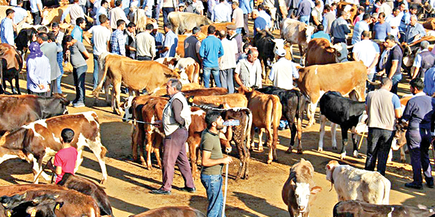 “Kurbanlık sıkıntısı yok”