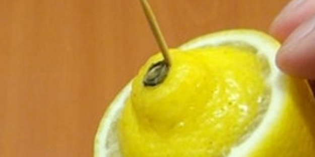 Kürdanı limona batırın: Bunu yapan büyük bir sorundan kurtuluyor: