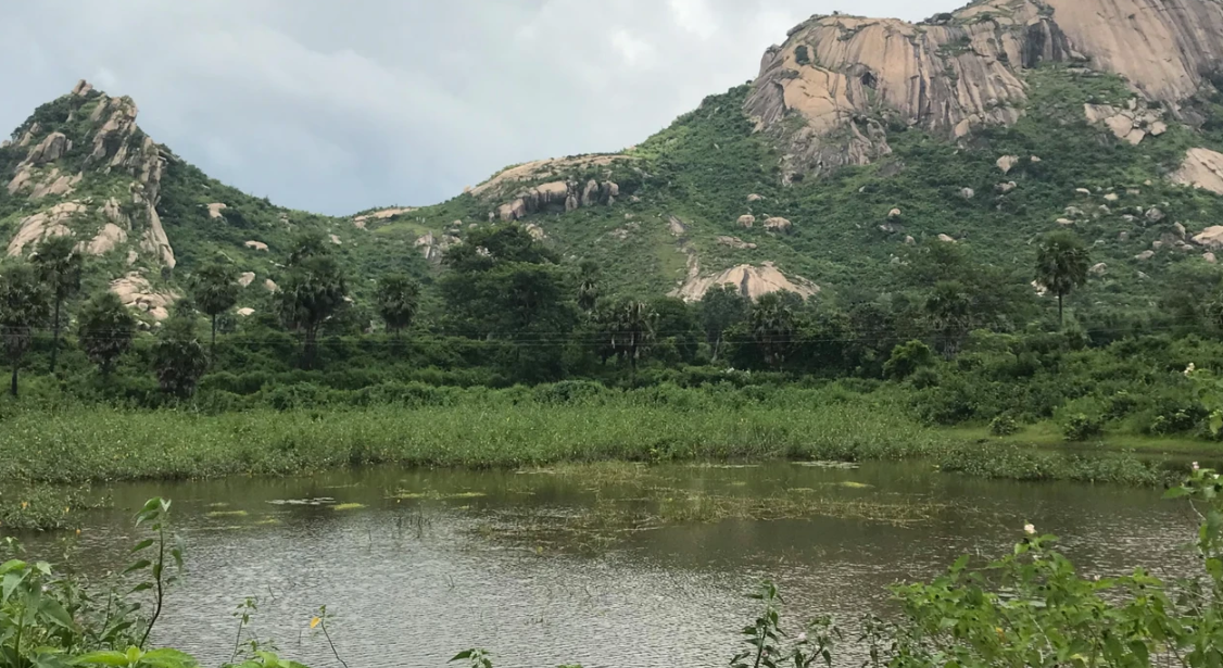 Kurdukları köy dolandırıcılığın merkezi oldu