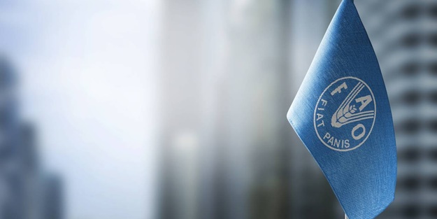 Küresel gıda fiyatları kasımda düştü