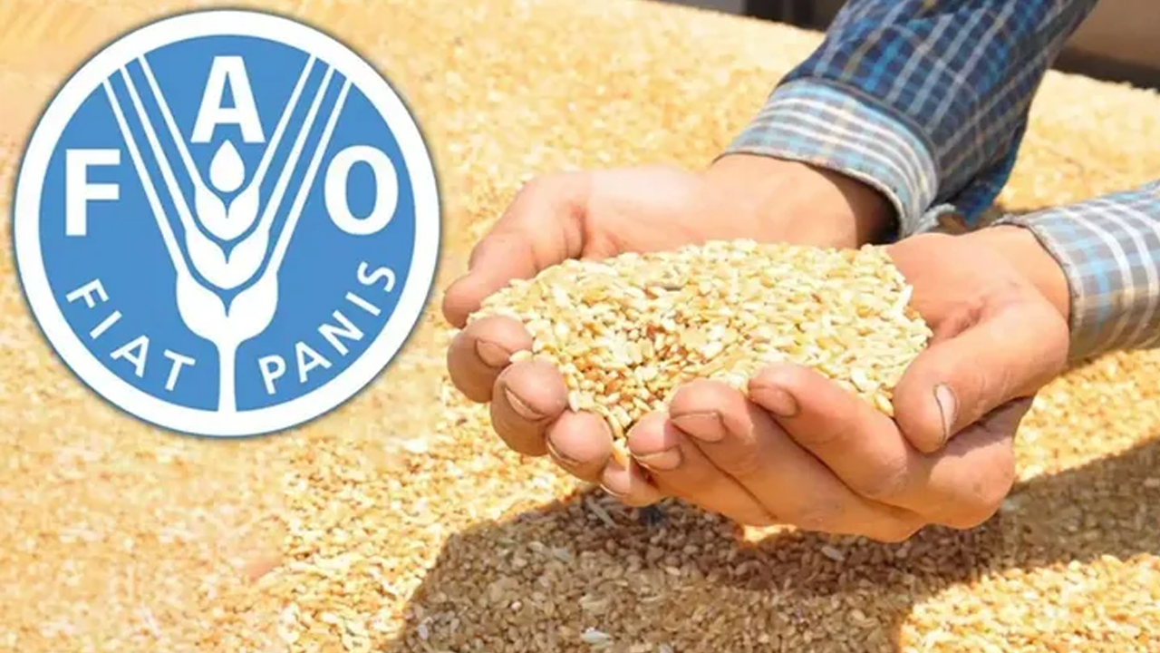 Küresel gıda fiyatları son 2 yılın en yüksek seviyesinde