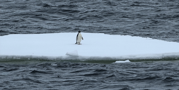 Küresel ısınma okyanusları değiştirdi