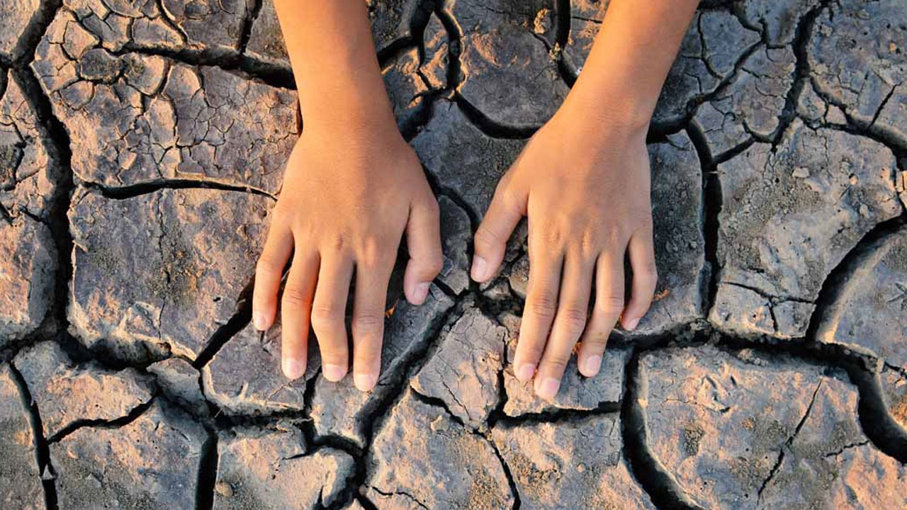 Küresel ısınmanın kurbanı onlar olacak! 2020 sonrası doğanlar için korkutucu senaryo