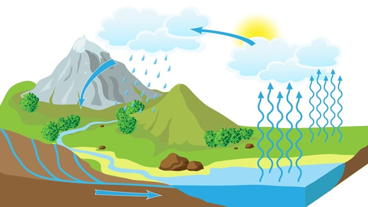 Küresel su döngüsü 