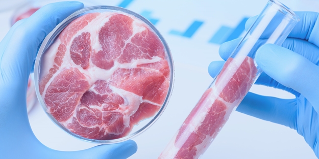 Küreselcilerin bu oyununa dikkat! ABD'li 'şirk-et', 'yapay et' diye haram et yedirecek!