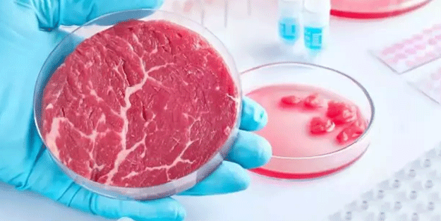 Küreselcilerin oyununa sonunda 'dur' denildi! ABD'de ilk: Bir eyalet yapay eti yasakladı