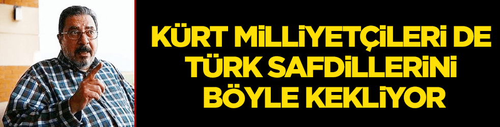 Kürt milliyetçileri de Türk safdillerini böyle kekliyor
