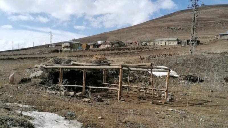 Kurtlar girdiği ağılda 20 hayvanı telef etti!