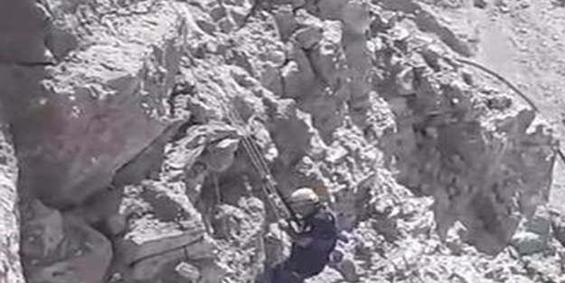 Kurtların saldırdığı sürüde 20 koyun telef oldu