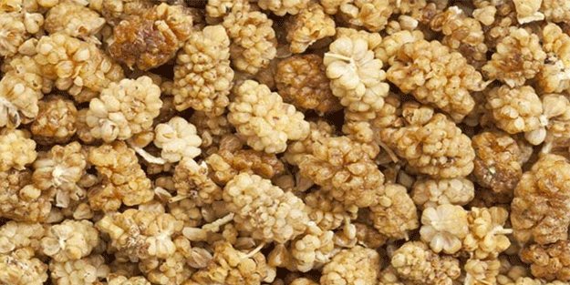 Kuru dutun faydaları saymakla bitmiyor