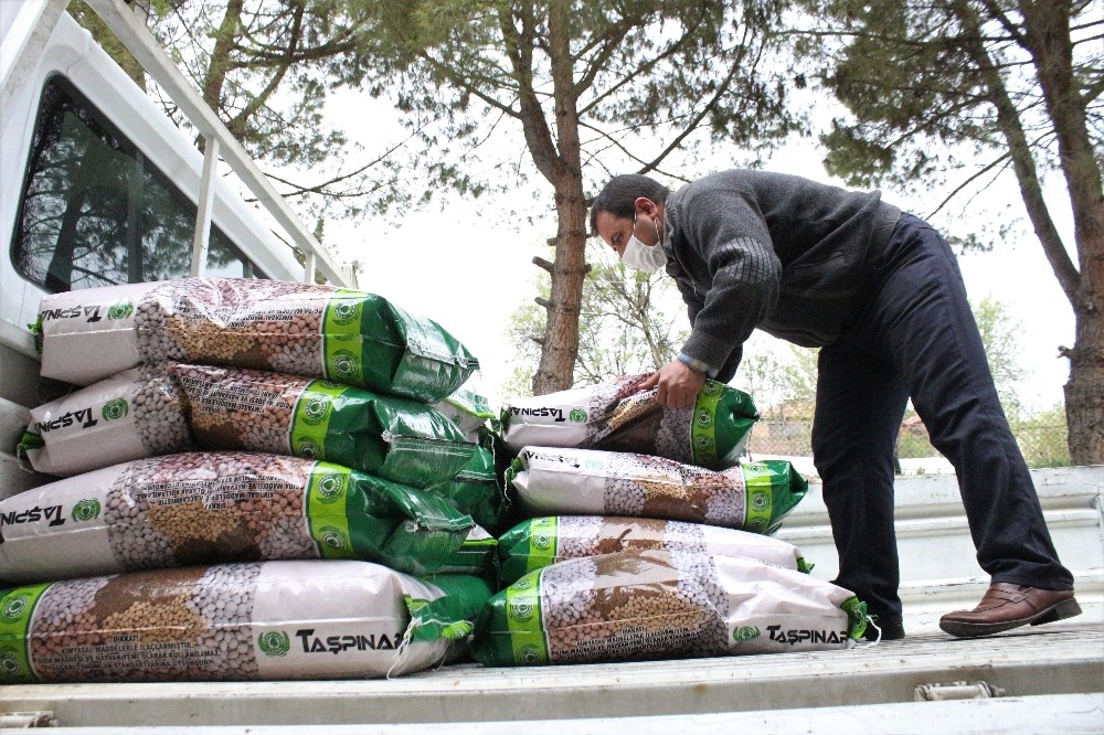 Kuru fasulye tohumu desteğiyle bölgeye 3 buçuk milyon lira katkı sağlanacak 