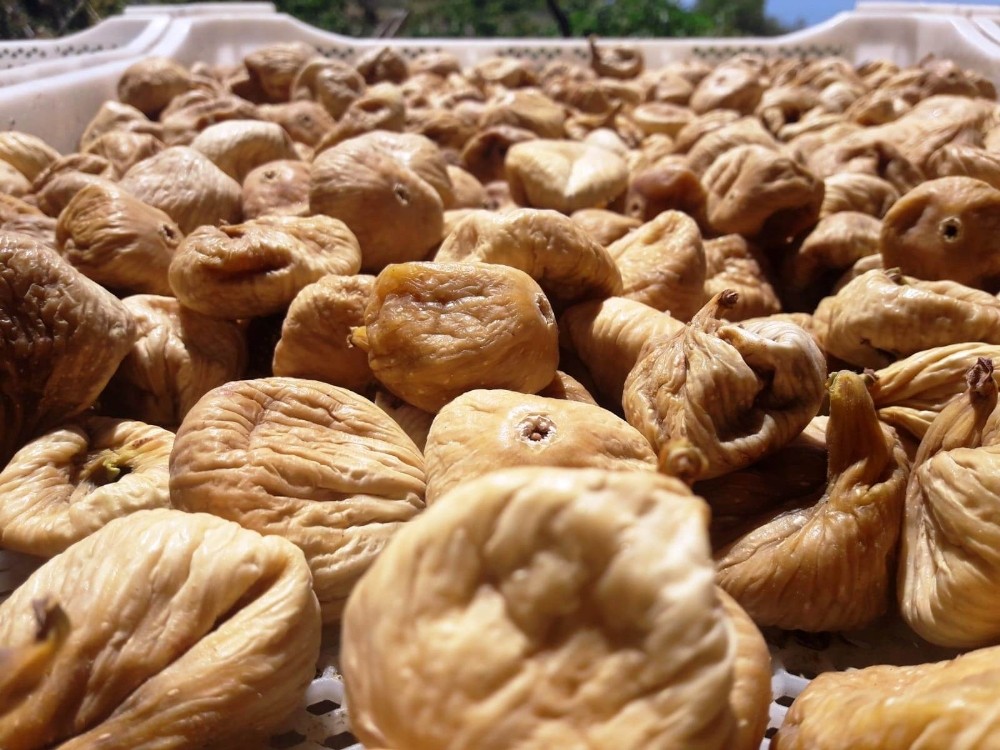 Kuru incir 23, siyah salamura zeytin 7.25’den işlem gördü 