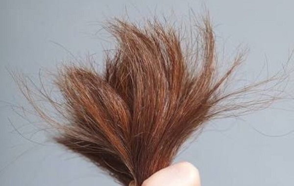 Kuru saçlar artık kabusunuz olmasın!