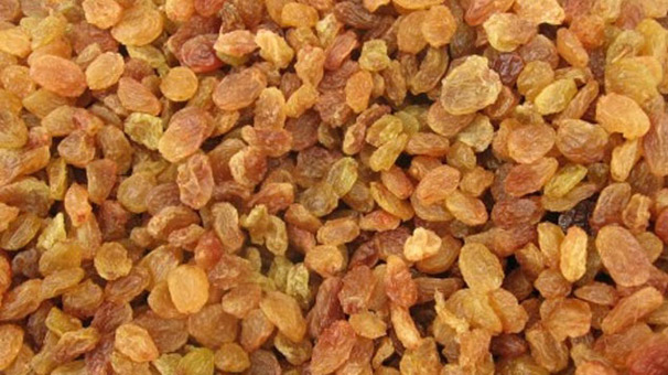 Kuru üzüm ücretleri çiftçiyi sevindirdi