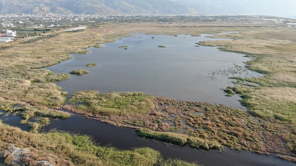 Kuruma noktasına gelmişti! İşte kuş cennetinin son durumu