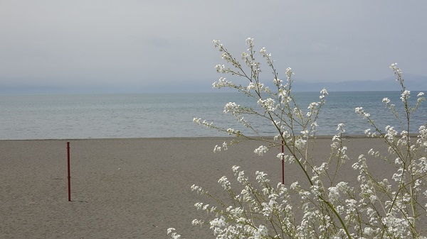 Kuruma noktasına gelmişti! Son durum