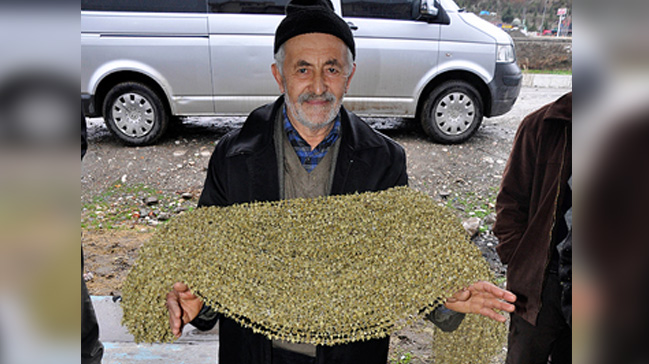 Kurutulmuş bamya 'altın' kadar değerli