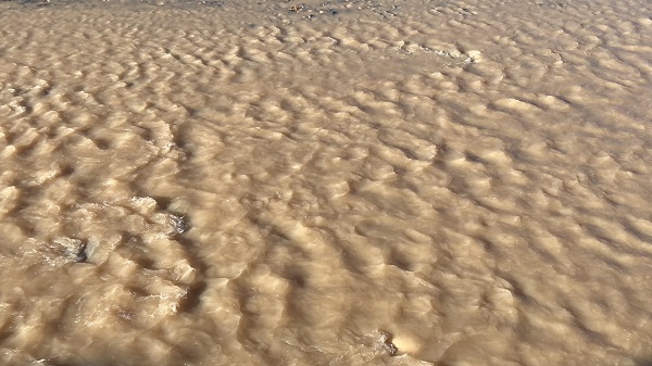 Kuruyan dereler yağmurla coştu