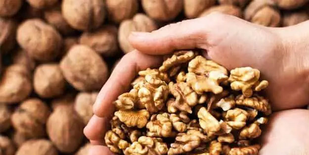 Kuru meyveler vazgeçilmez bir ara öğün alternatifi