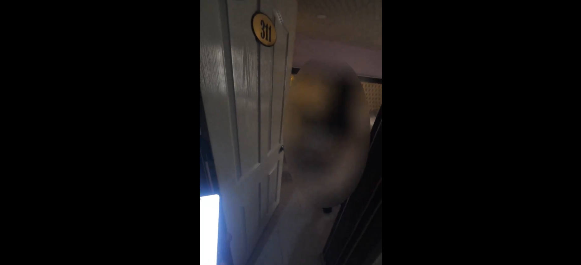 Kurye sipariş götürdüğü kadını çıplak görünce?