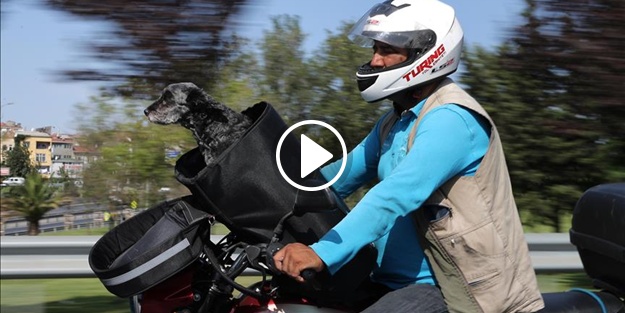 Sıra dışı 'iş arkadaşı'