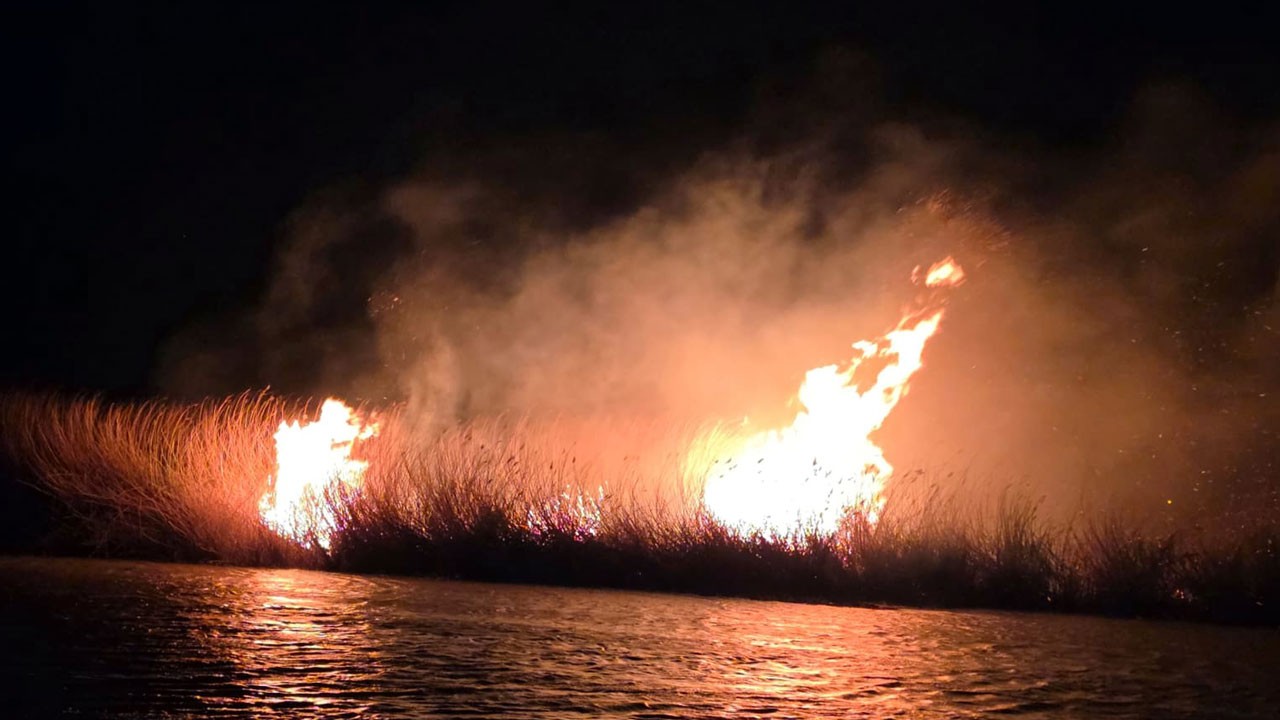 Kuş cenneti alev alev yandı!