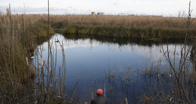 Kuş cenneti 'Yamansaz' yok oluyor
