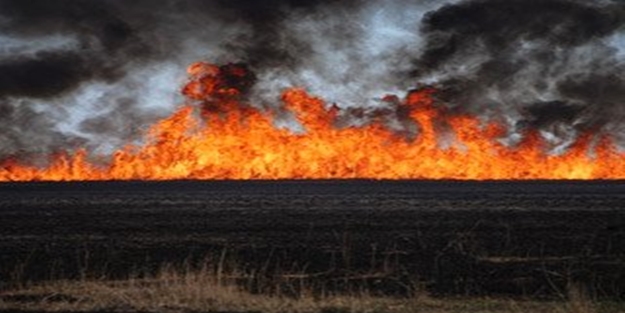 Kuş Cenneti'nde yangın
