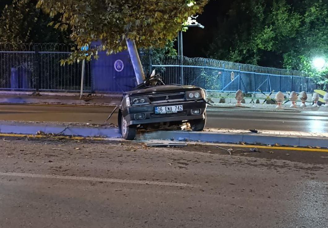 Kuş cinsi otomobil ikiye bölündü