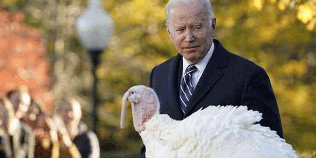 Kuş gribi korkuttu! 29 bin hindi itlaf edildi