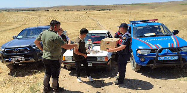 Kuş sevdasına otomobillerinden oldular