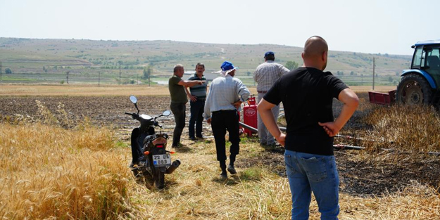 Kuş yüzünden tarla yandı