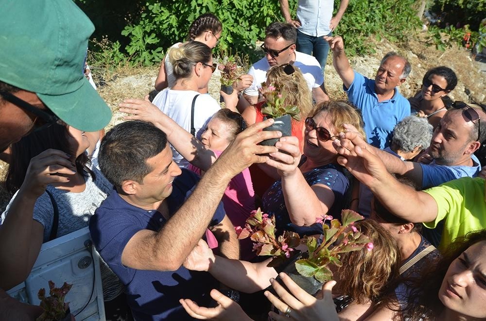 Kuşadası Caferli’de Çiçek Şenliğine büyük ilgi 