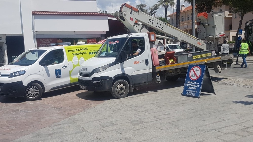 Kuşadası kedi yavrusu için ayağa kalktı 