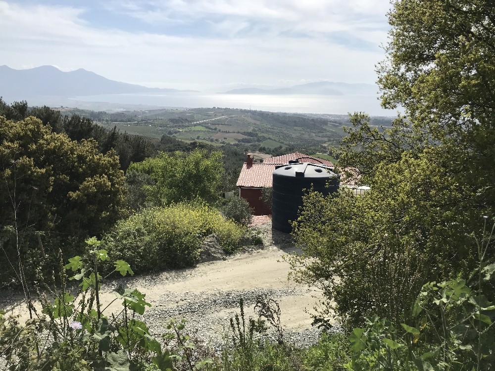 Kuşadası’nda ormanlık alandaki kaçak hobi bahçeleri mühürlendi 