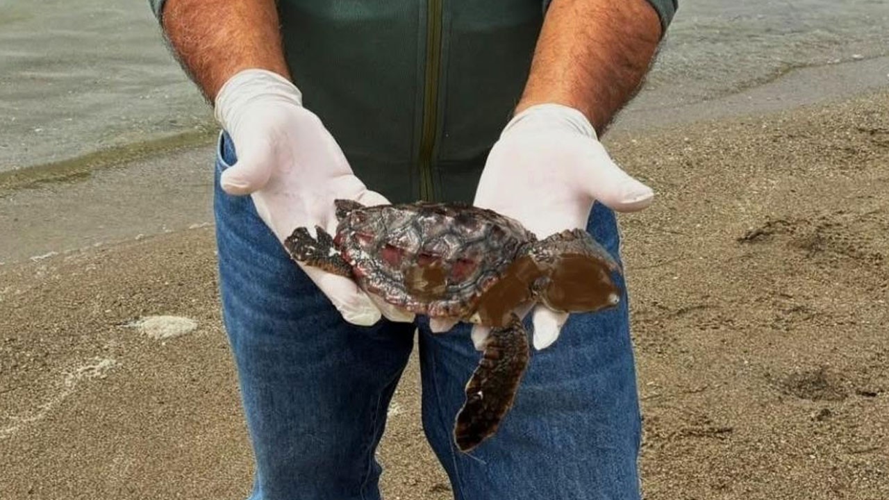 Kuşadası’nda üzücü ölüm