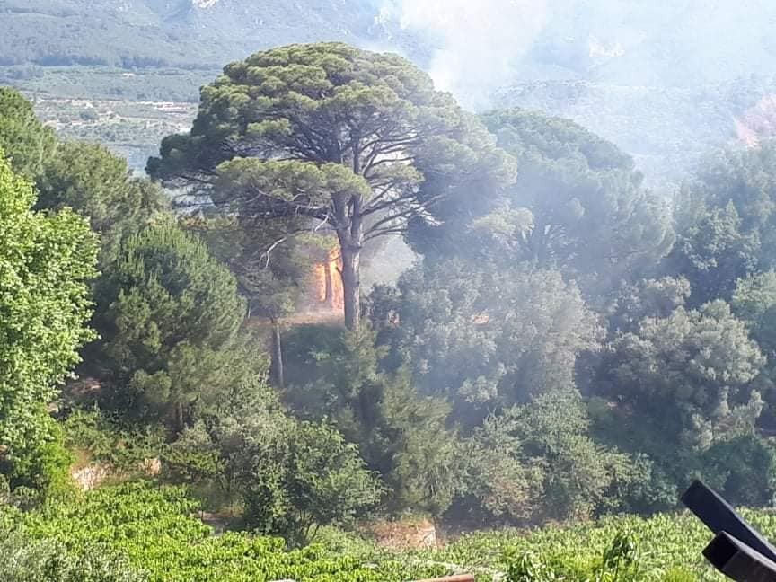 Kuşadası’ndaki orman yangını kontrol altına alındı 