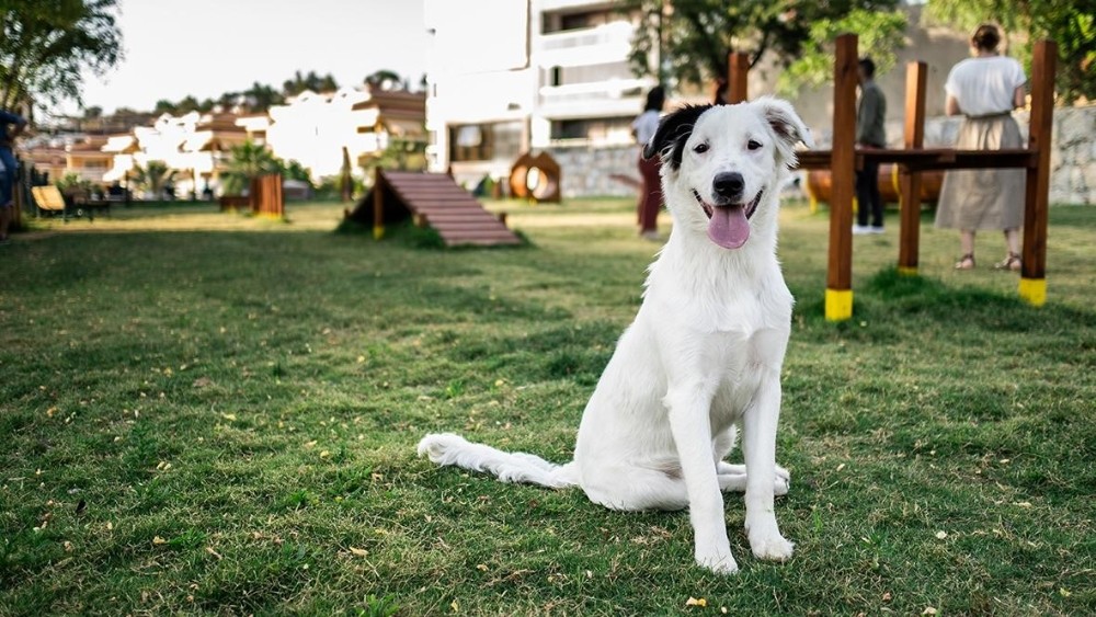 Kuşadası’nın ilk köpek parkı hizmete açıldı 