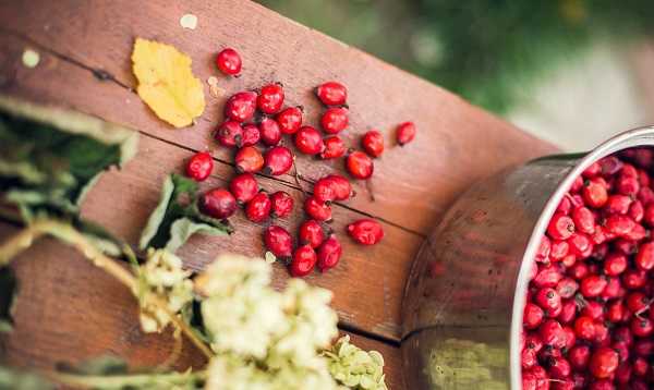 Kuşburnu faydaları nelerdir?