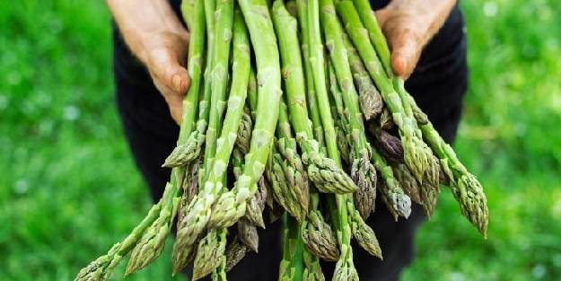 Kuşkonmaz: Akdeniz’in 2000 yıllık şifa kaynağı