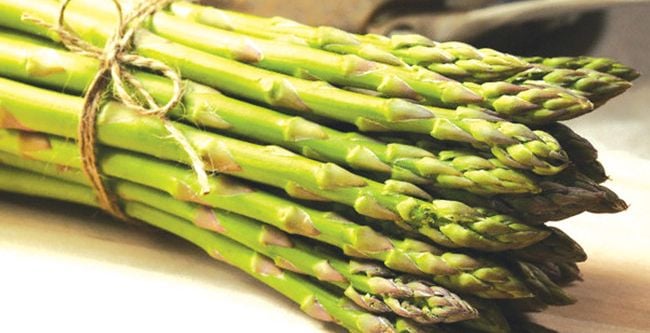 5 bin kuşkonmaz ücretsiz dağıtıldı