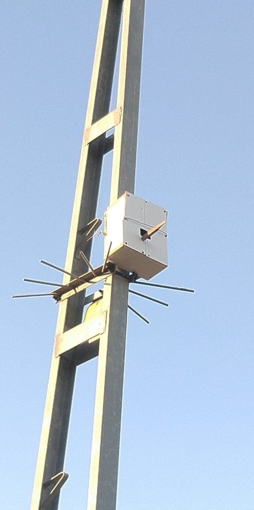 Kuşlar için elektrik direğine yuva yaptı 