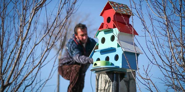 Kuşlar için modern evler yaptılar