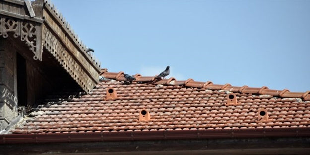 Kuşlar için, öyle bir kiremit ürettirdiler ki...