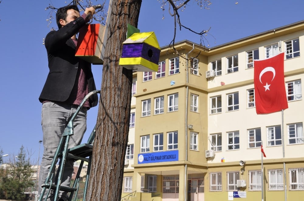Kuşlar üşümesin diye yuva yaptılar 
