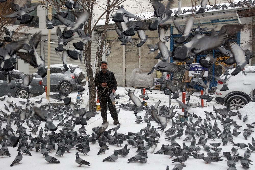 Kuşların yem mücadelesi görsel şölen oluşturdu 