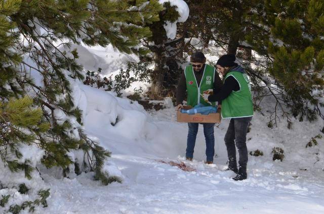 Kütahya İHH gönüllüleri doğaya yiyecek bıraktı